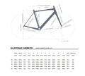 Look 2021 765 Optimum geometry