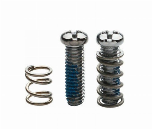 Śruba blokująca przerzutkę Campagnolo RD-RE110