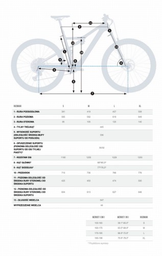 Orbea Rise Geometria