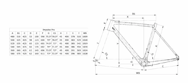 Bianchi Impulso Pro Geometria.jpg