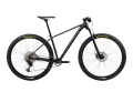 Rower Orbea ALMA ONNA 10, 29"