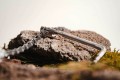 Milkit Hassle'off multitool, narzędziownik/zestaw naprawczy