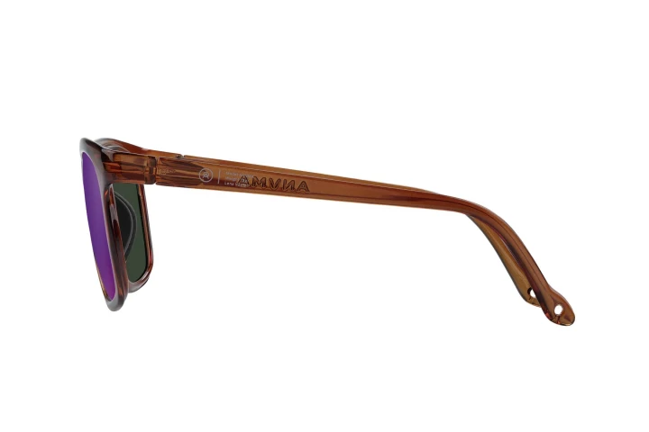 Okulary Alba Optics ANVMA BRW GLS / VZUM ML PLASMA