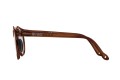 Okulary Alba Optics ANVMA BRN GLS / VZUM RKT Okulary Alba Optics ANVMA BRW GLS / VZUM RKT Photochrom