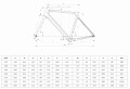 Bianchi Sprint 2024 Geometry