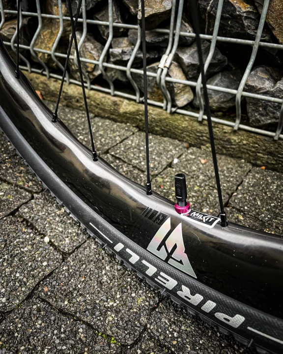 IMG_3272.jpg
