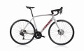 Rower Look 2023 765 Optimum 105 2x11 / Metallic Silver True Blood Satin