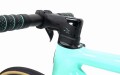 Rower Bianchi Specialissima Custom, Ultegra, Carbon-Ti
