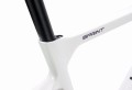 Rower Bianchi Sprint 2024, 105 12s, Light Grey