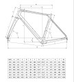 Bianchi Infinito Geometria