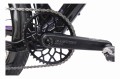 batchP1050455_clipped_rev_1.jpeg