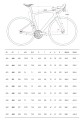 Pinarello X Geometria.jpg