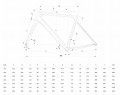 Bianchi Sprint 2024 geometria
