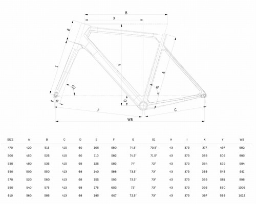 Bianchi Sprint 2024 geometria