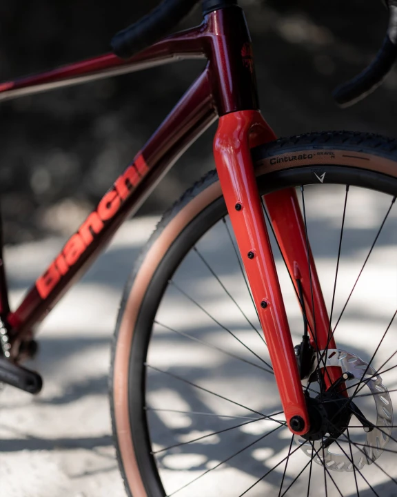 Rower gravelowy Bianchi Arcadex AL GRX610:822, Burgundy:Coral Red Full Glossy_1.jpg