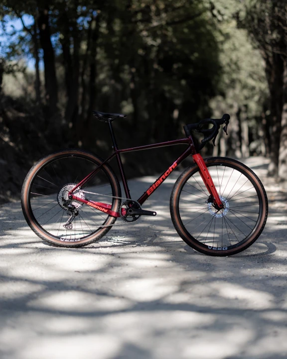 Rower gravelowy Bianchi Arcadex AL GRX610:822, Burgundy:Coral Red Full Glossy_2.jpg