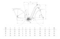 bianchi t-tronik geometria.jpg