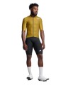 Koszulka kolarska Assos MILLE GT S11 EVO Golden Yellow_6.jpeg