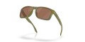 Okulary Oakley Holbrook Polaris Collection Fern Spacedust : Prizm Tungsten Polarized_6.jpeg