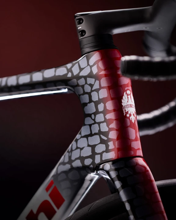 Rower szosowy Bianchi Infinito Paris Roubaix Edition, Ultegra 4iiii, RC 49R_5.jpg
