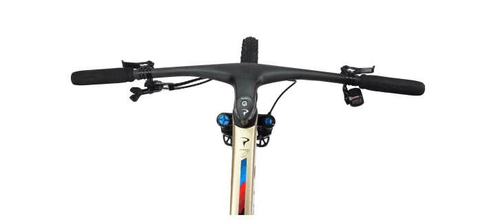 Rower Pinarello Dogma XC Custom, Eagle XX, Light Bicycles_5.jpg