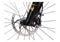 Rower Pinarello Dogma XC Custom, Eagle XX, Light Bicycles_16.jpg