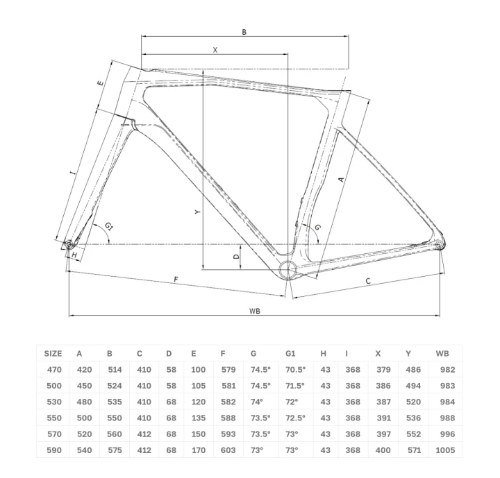 Bianchi Spesialissima geometria.jpg