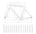 Bianchi Spesialissima geometria.jpg