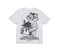 Koszulka T-Shirt Alba Optics Orso Carbo_2.jpg