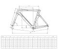 Bianchi Oltre Comp 2024 geometria