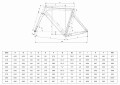 Bianchi Oltre 2024 Geometria