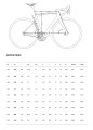 Rower szosowy NEW Pinarello X geometria.jpg