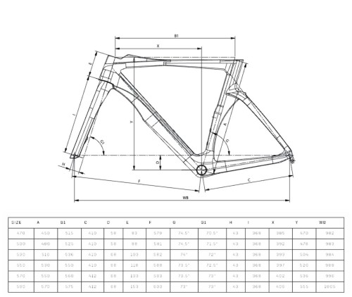 Bianchi Oltre Comp 2024 geometria