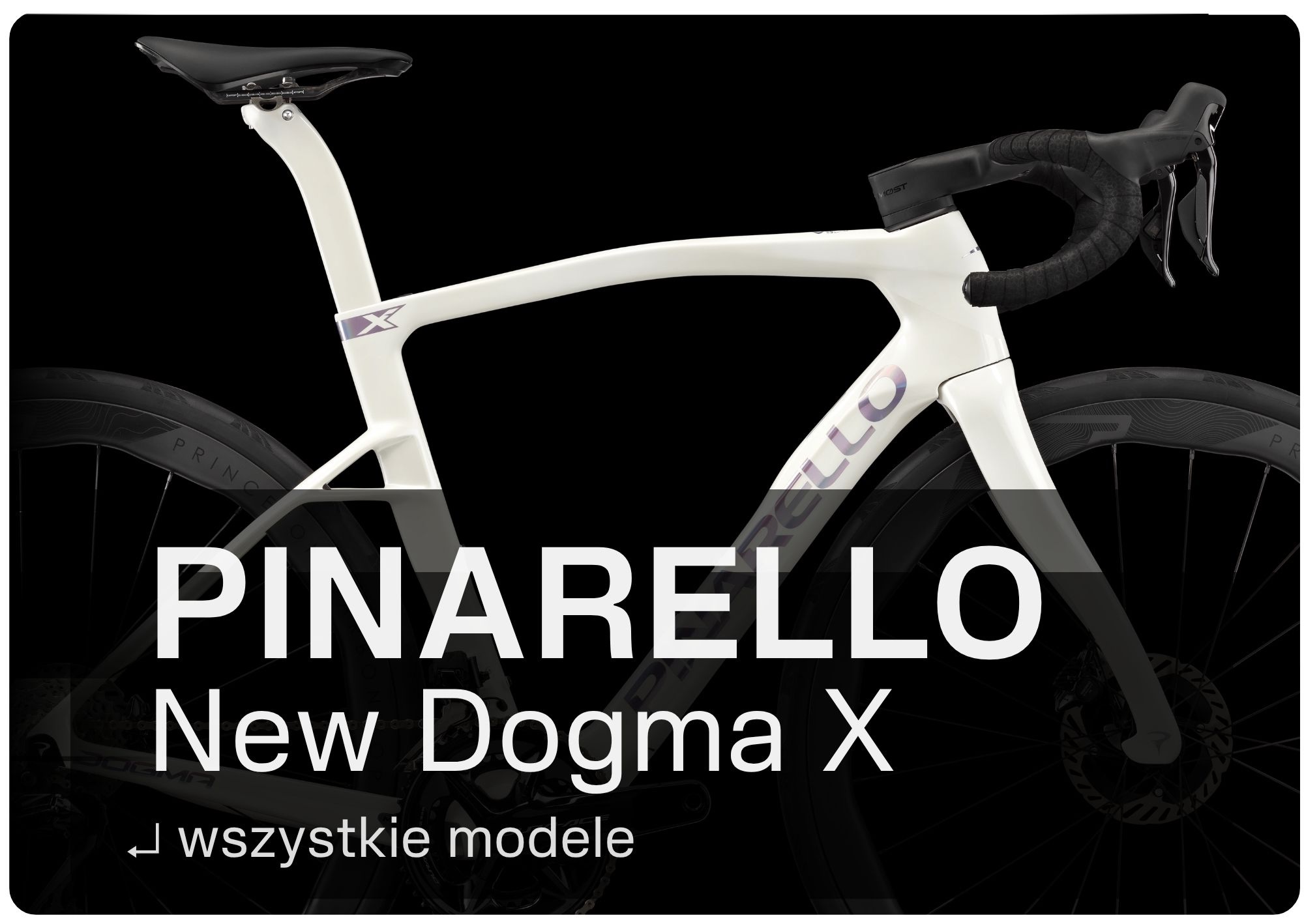 New Dogma X