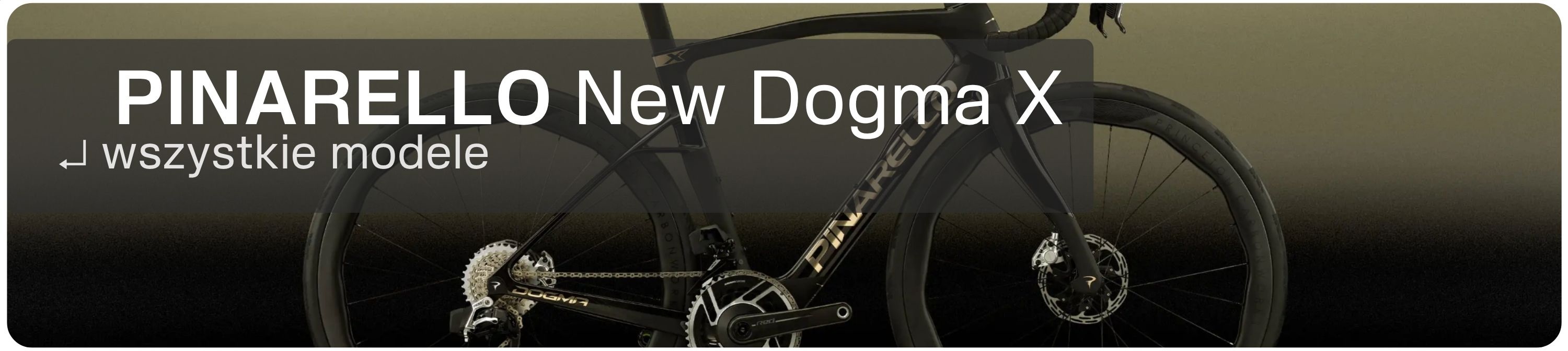 New Dogma X
