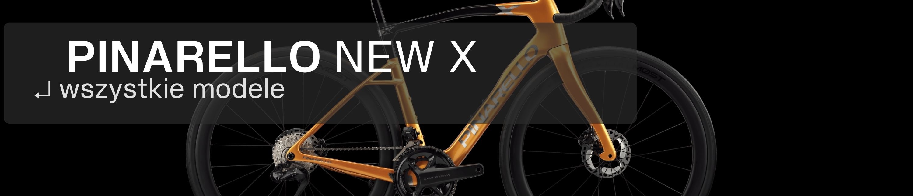 New Dogma X